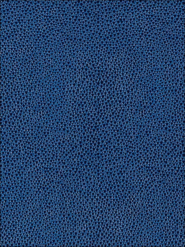 Shagreen Ultramarine Wallpaper 5005856 By Schumacher - Sacred Textile (mawa') Depicting Tadpoles And Water - HD Wallpaper 