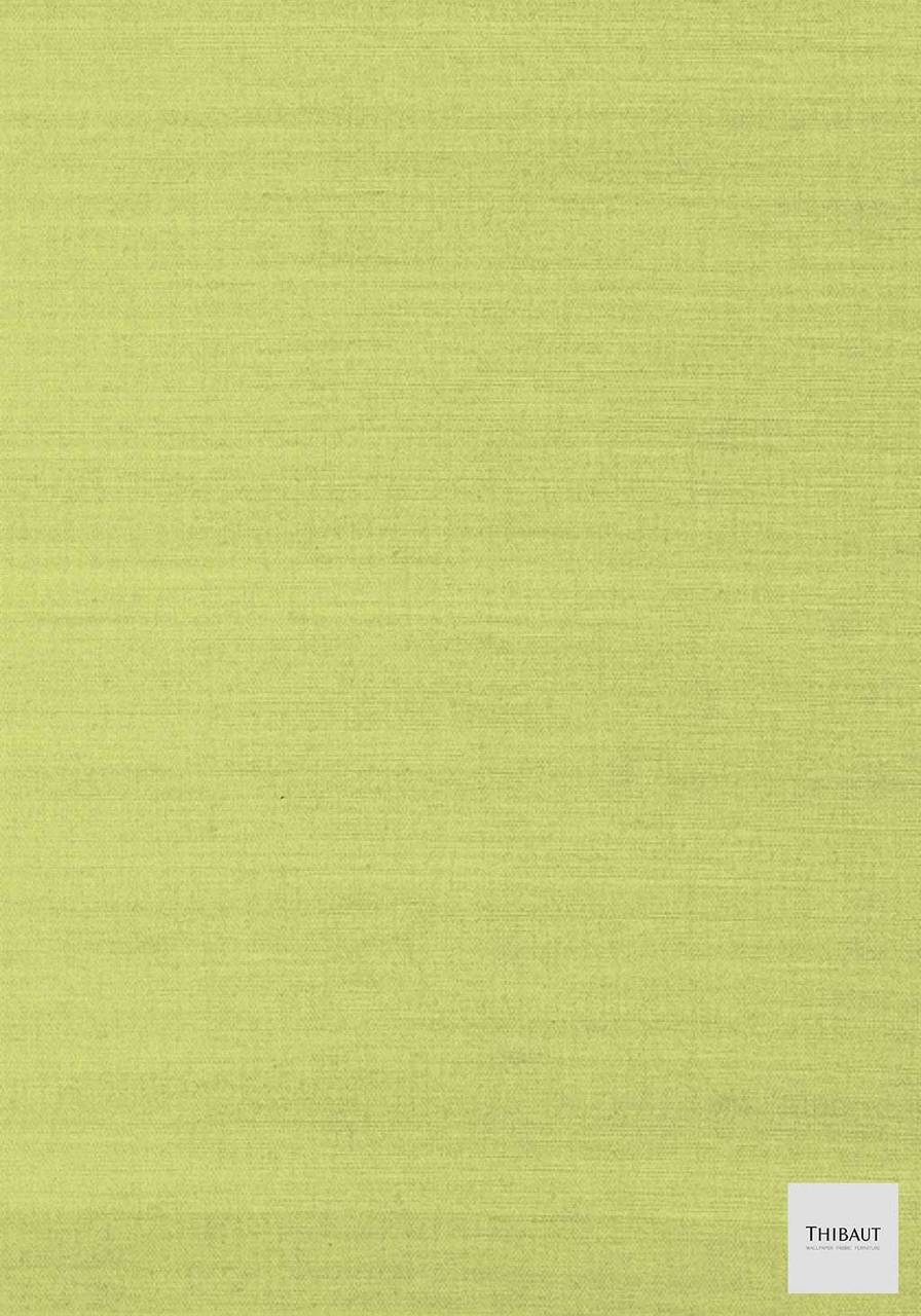 Grass - HD Wallpaper 