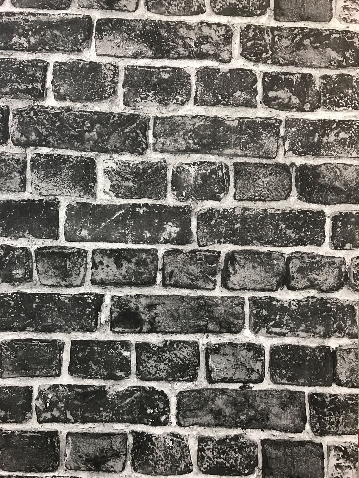 Cow Parsley Stencil - HD Wallpaper 