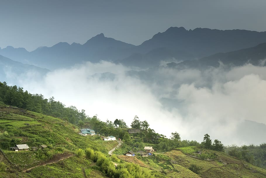 Vietnam, Sapa, Rice, Field, Step, Natural, People, - Sa Pa - HD Wallpaper 