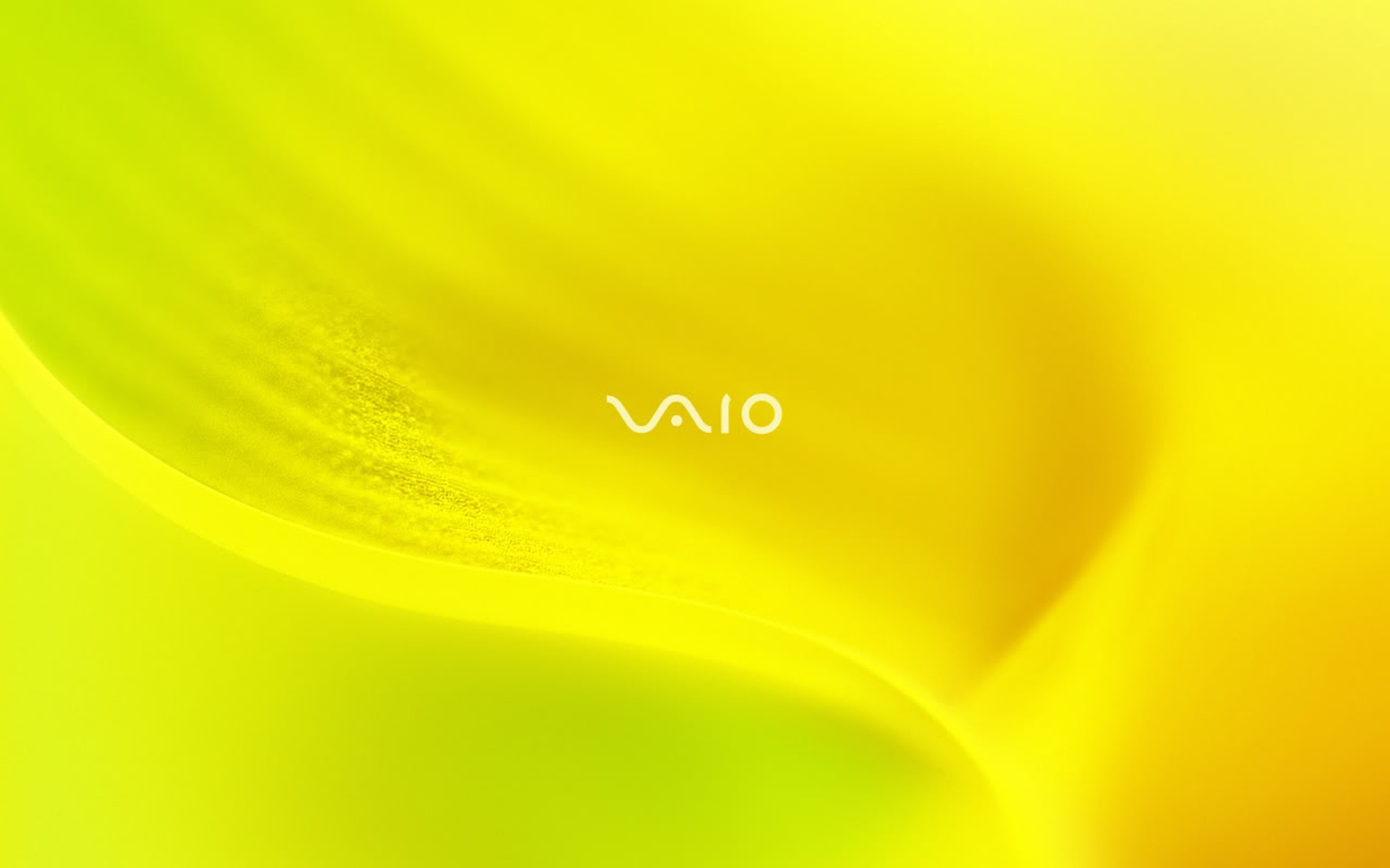 Vaio Tender Yellow Wallpapers And Stock Photos 
 Data - Vaio Wallpaper Yellow - HD Wallpaper 