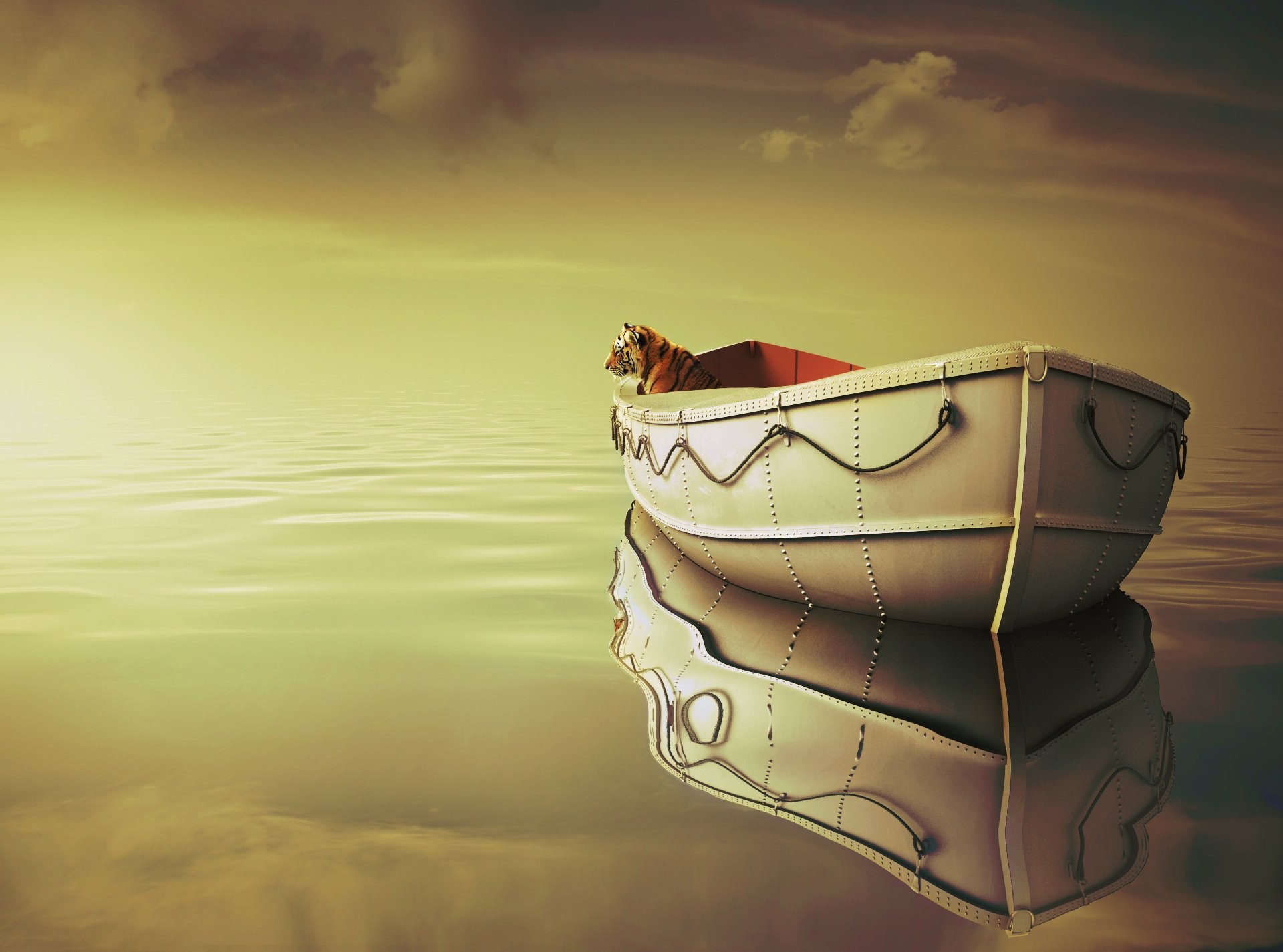 Richard Parker - HD Wallpaper 