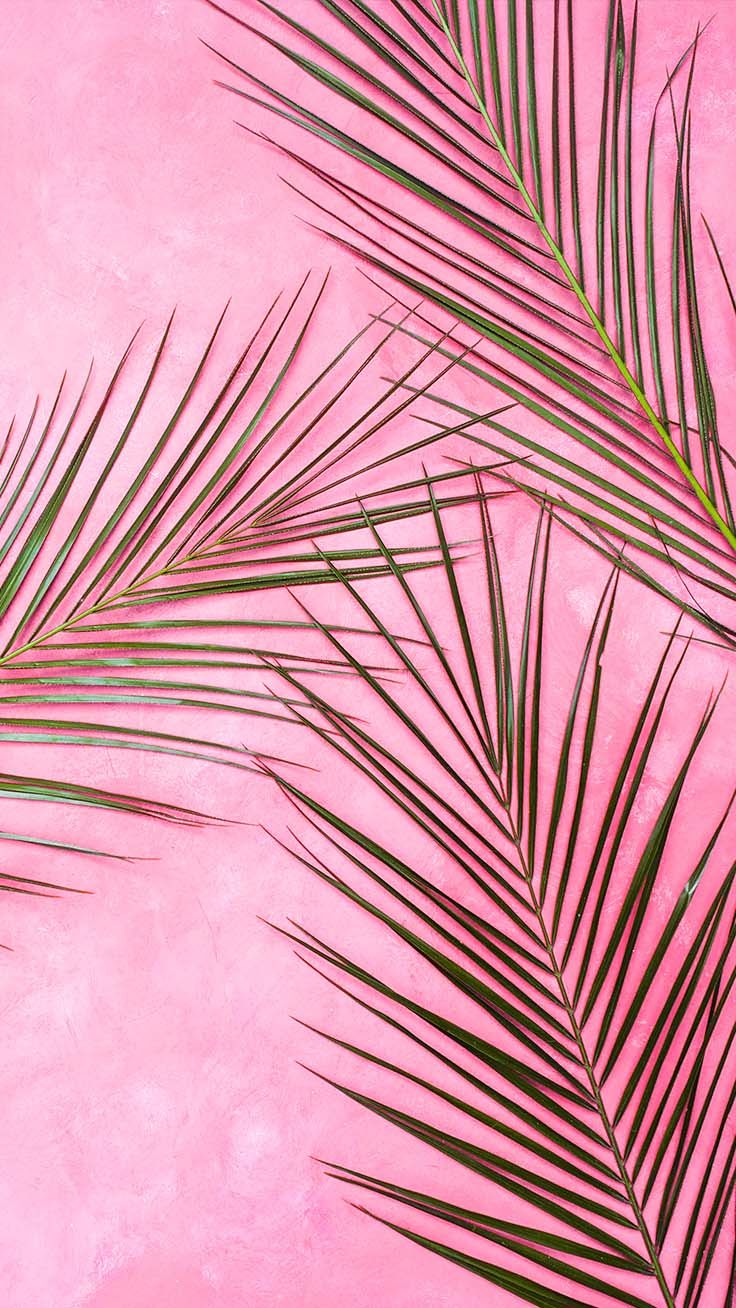 Iphone Wallpaper Pink - HD Wallpaper 