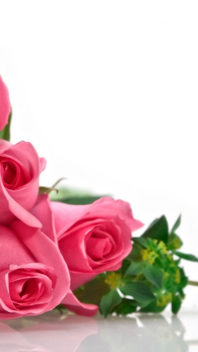Pink Wallpaper For Iphone 5 - HD Wallpaper 