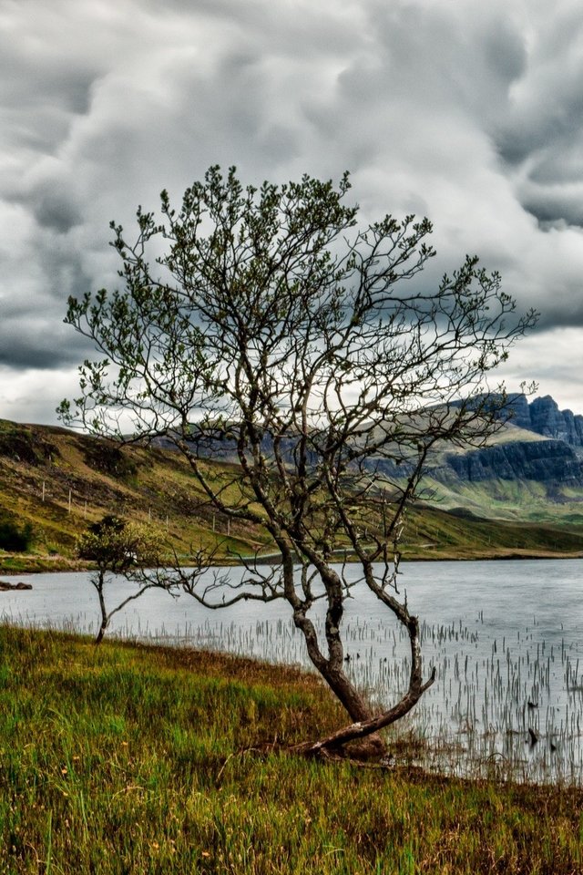 Sky, Clouds, Tree, Waters, Lake, Hole, Scotland - Nature - HD Wallpaper 