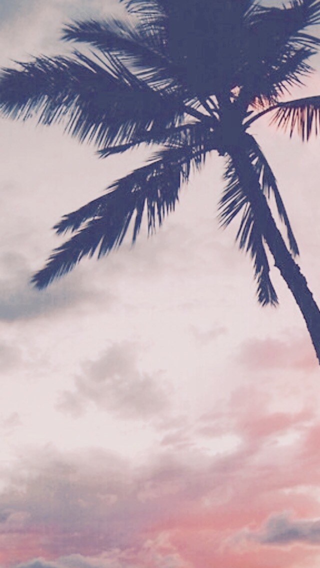 Pastel Palm Tree Iphone - HD Wallpaper 