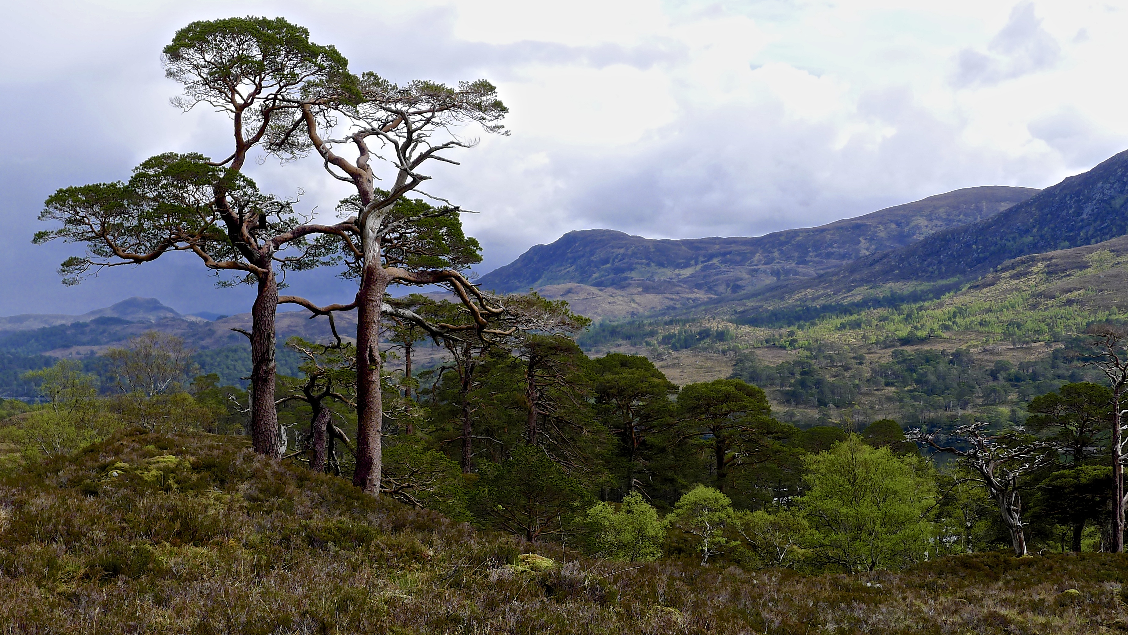 Scotland Tgo - Hill - HD Wallpaper 