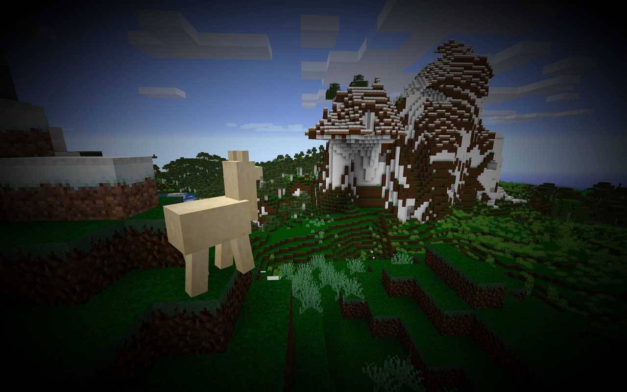 Palm Tree - HD Wallpaper 