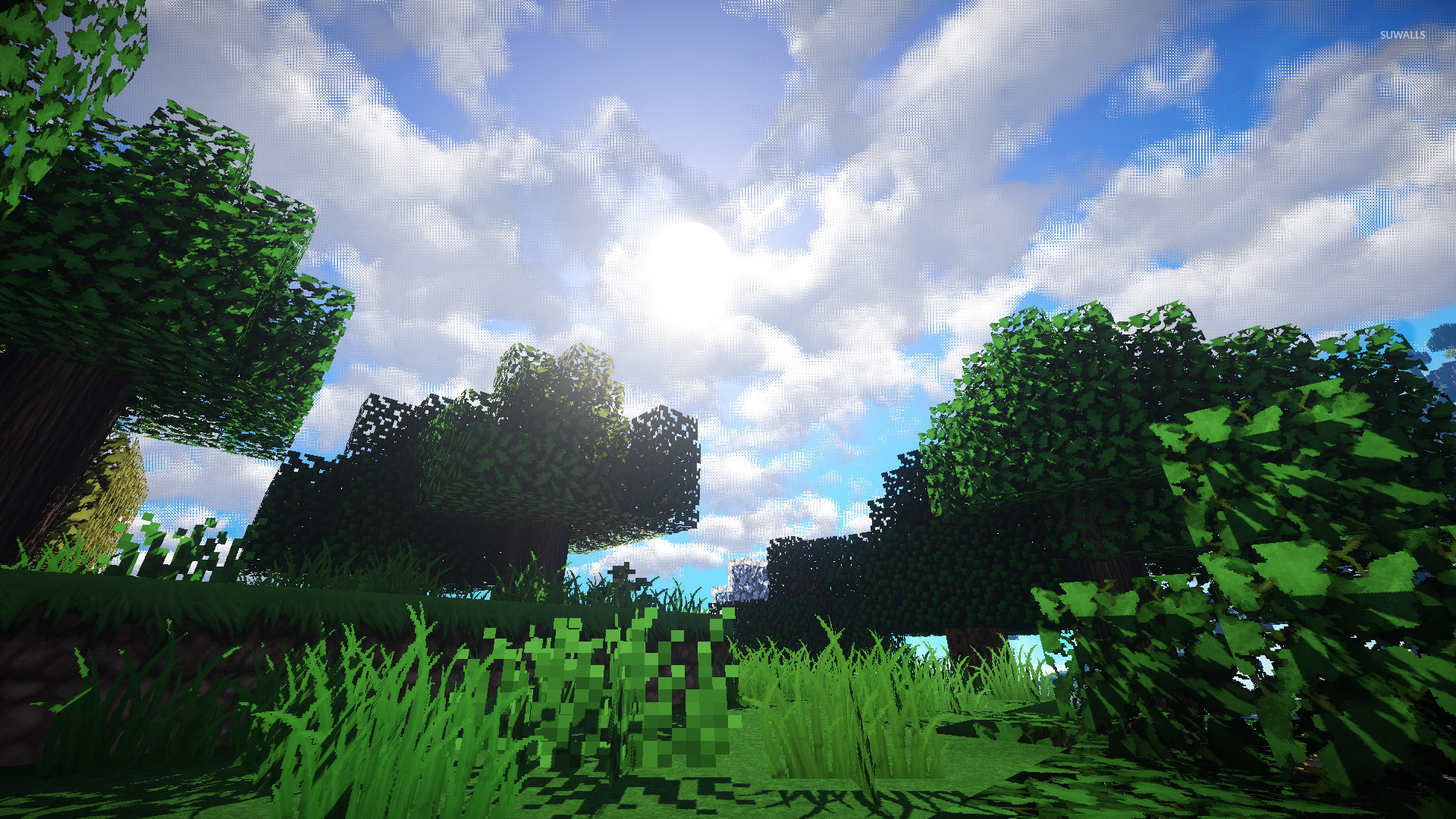 Minecraft Background - HD Wallpaper 