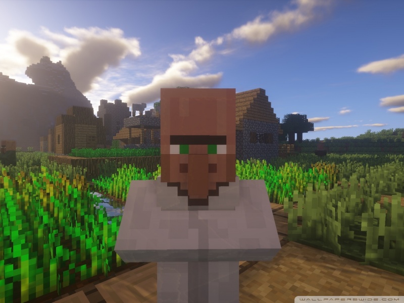 Villager 4k - HD Wallpaper 