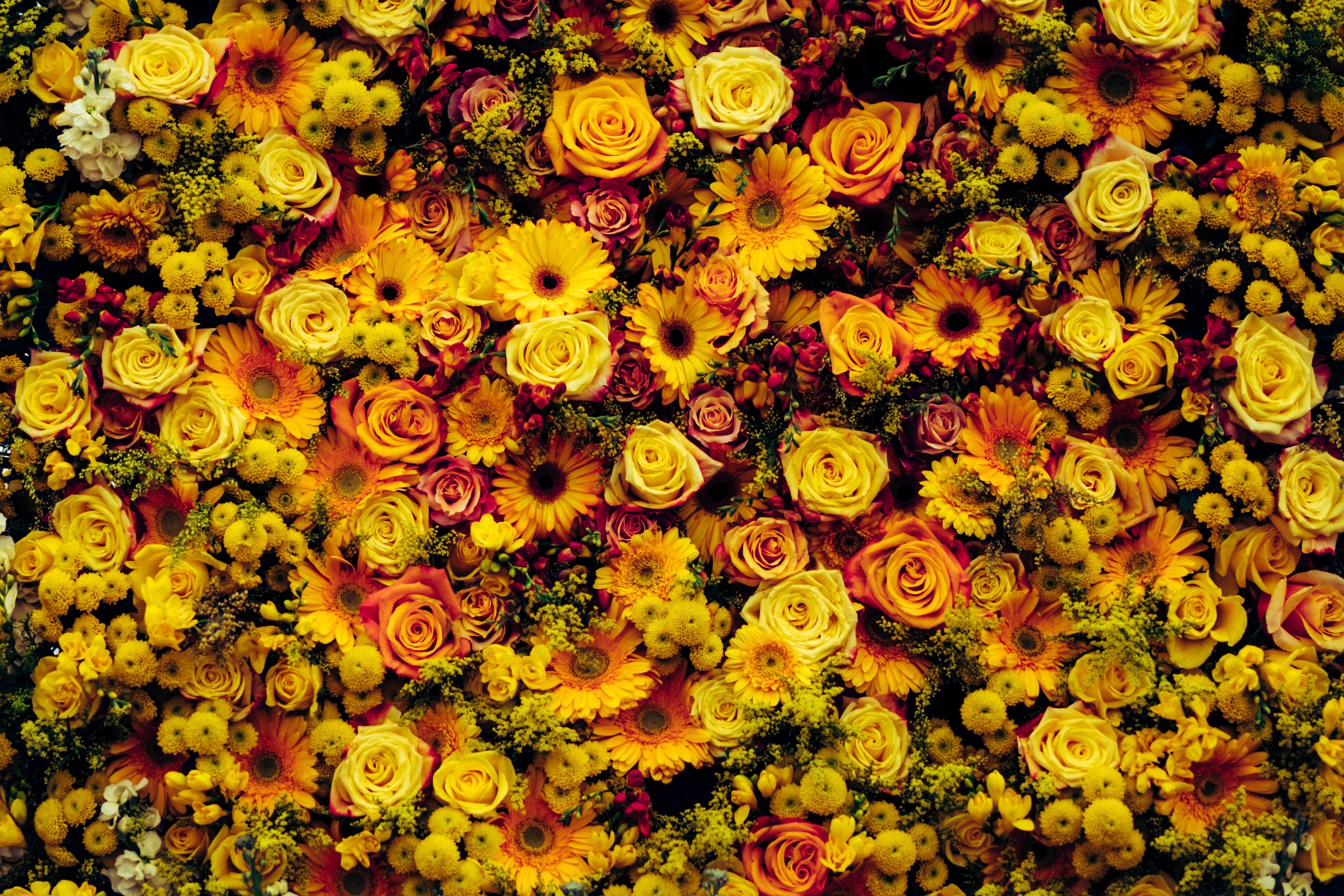 Wallpaper Flowers, Composition, Floral Carpet - Iphone Fall Flowers Background - HD Wallpaper 