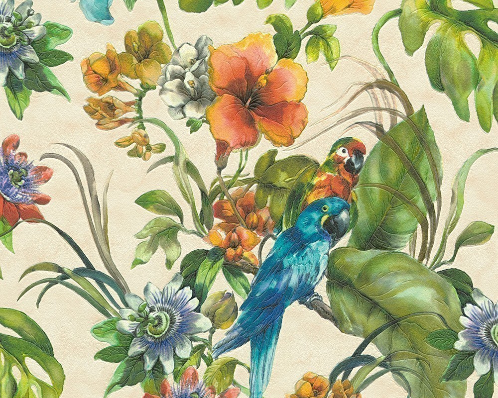 Tapeta Papugi - HD Wallpaper 