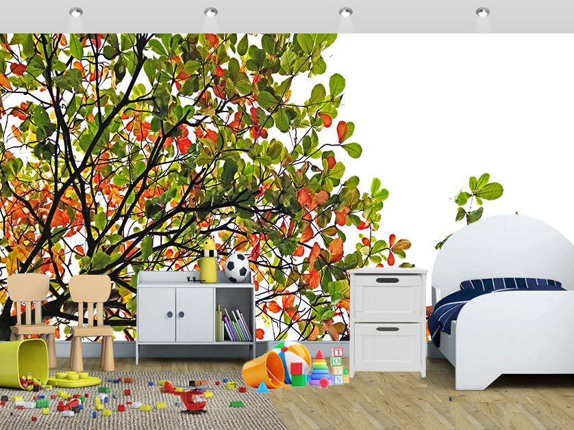 Tree Leaves Classical Tropical Wall Mural Kids - Office Wallpaper Design School - HD Wallpaper 