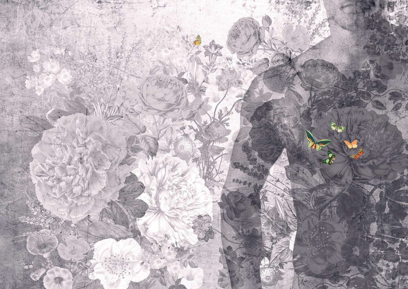 Wallpaper - HD Wallpaper 