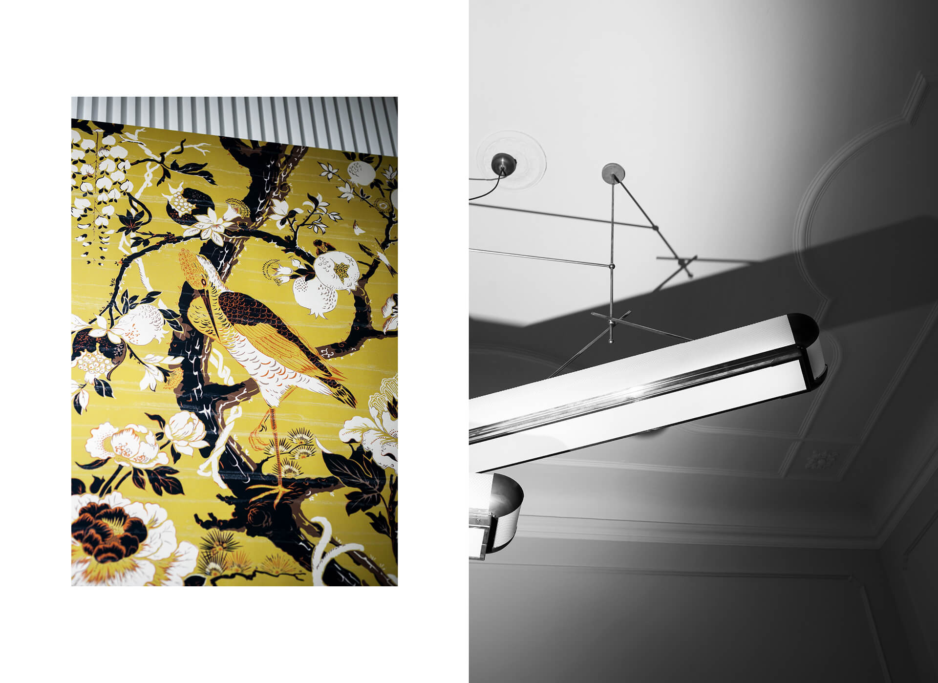 Dedar Silk Bird - HD Wallpaper 