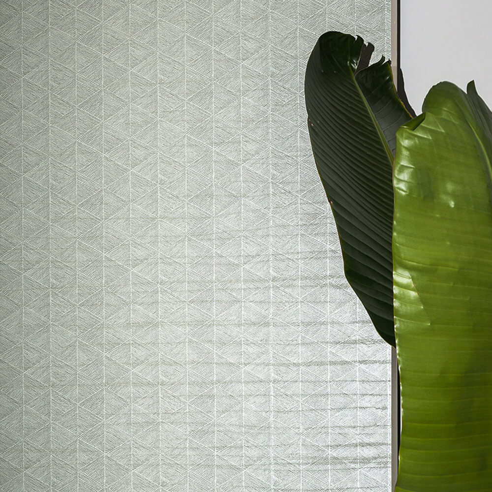 Ensete - HD Wallpaper 