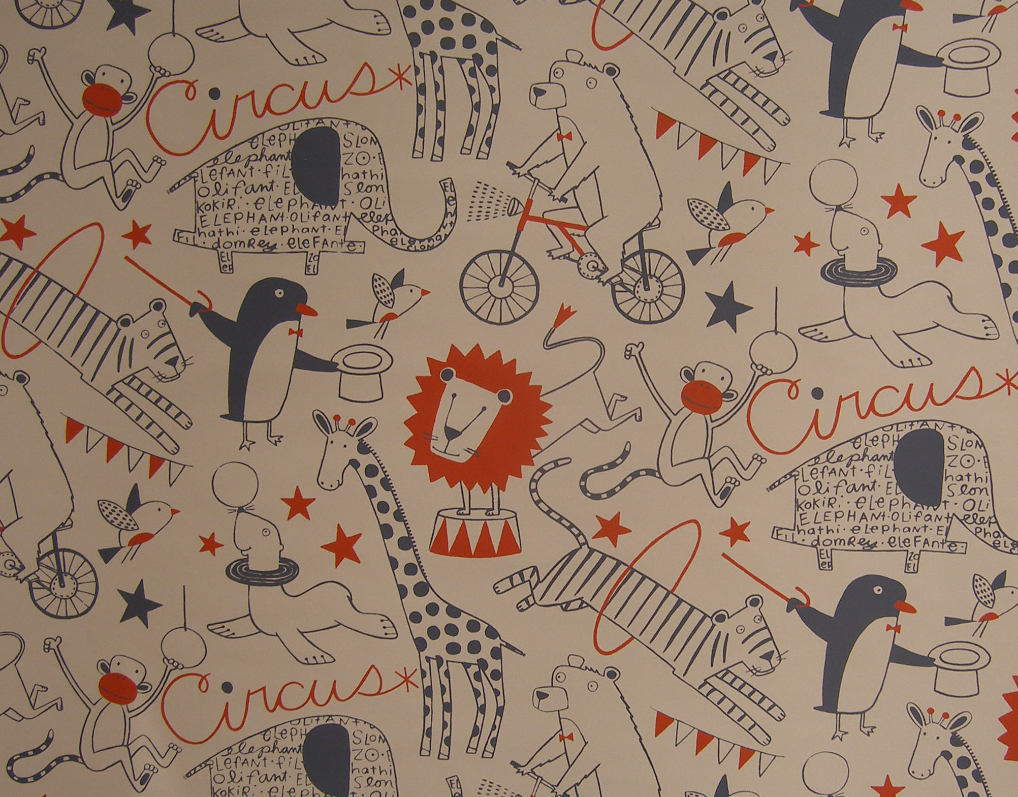 Circus Festival - HD Wallpaper 