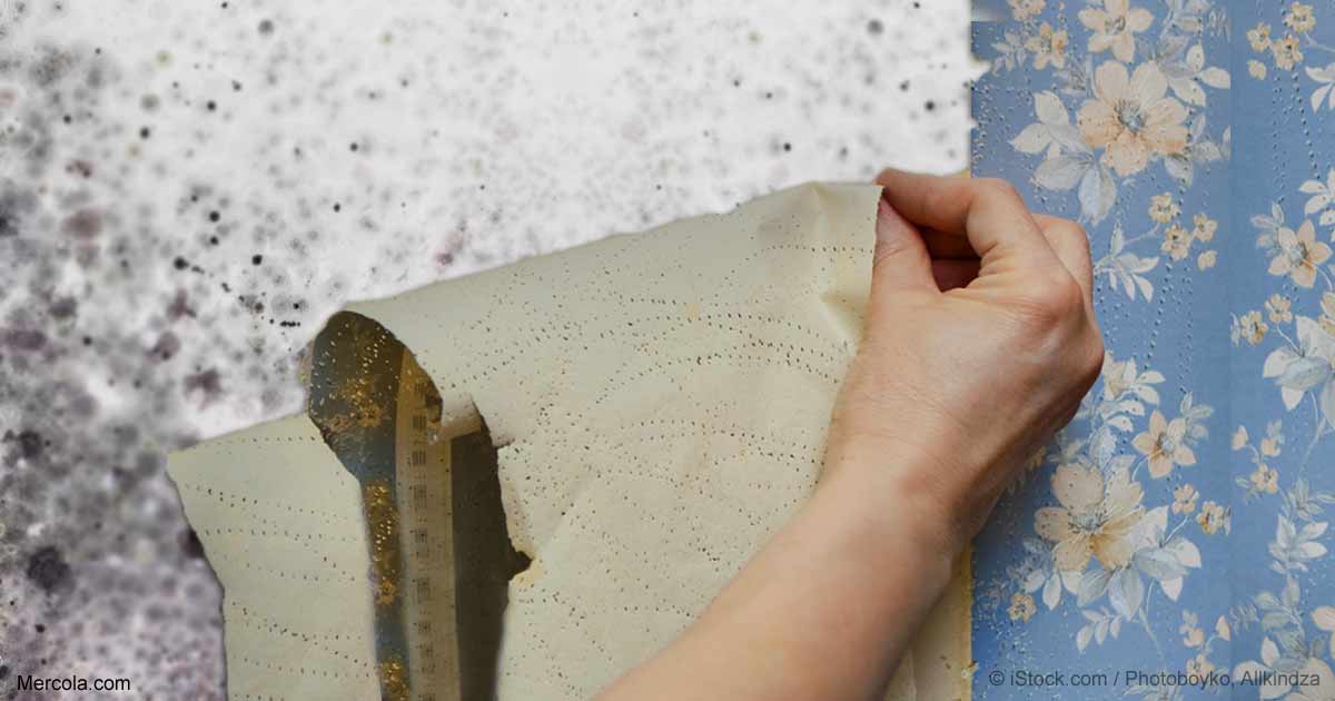 Removal By Water - HD Wallpaper 