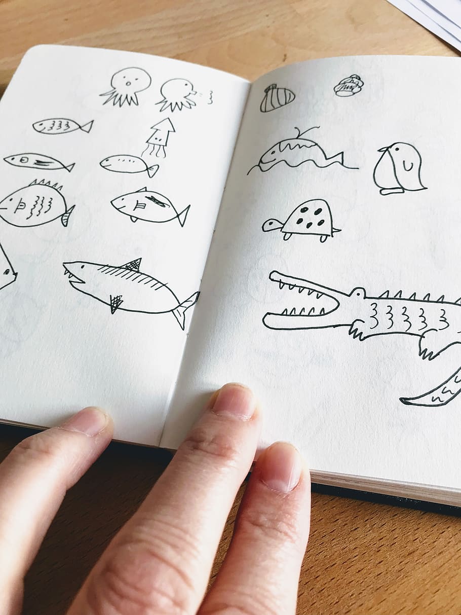 Belgium, Momignies, Chemin De Sart Gérôme 8a, Dessin, - HD Wallpaper 