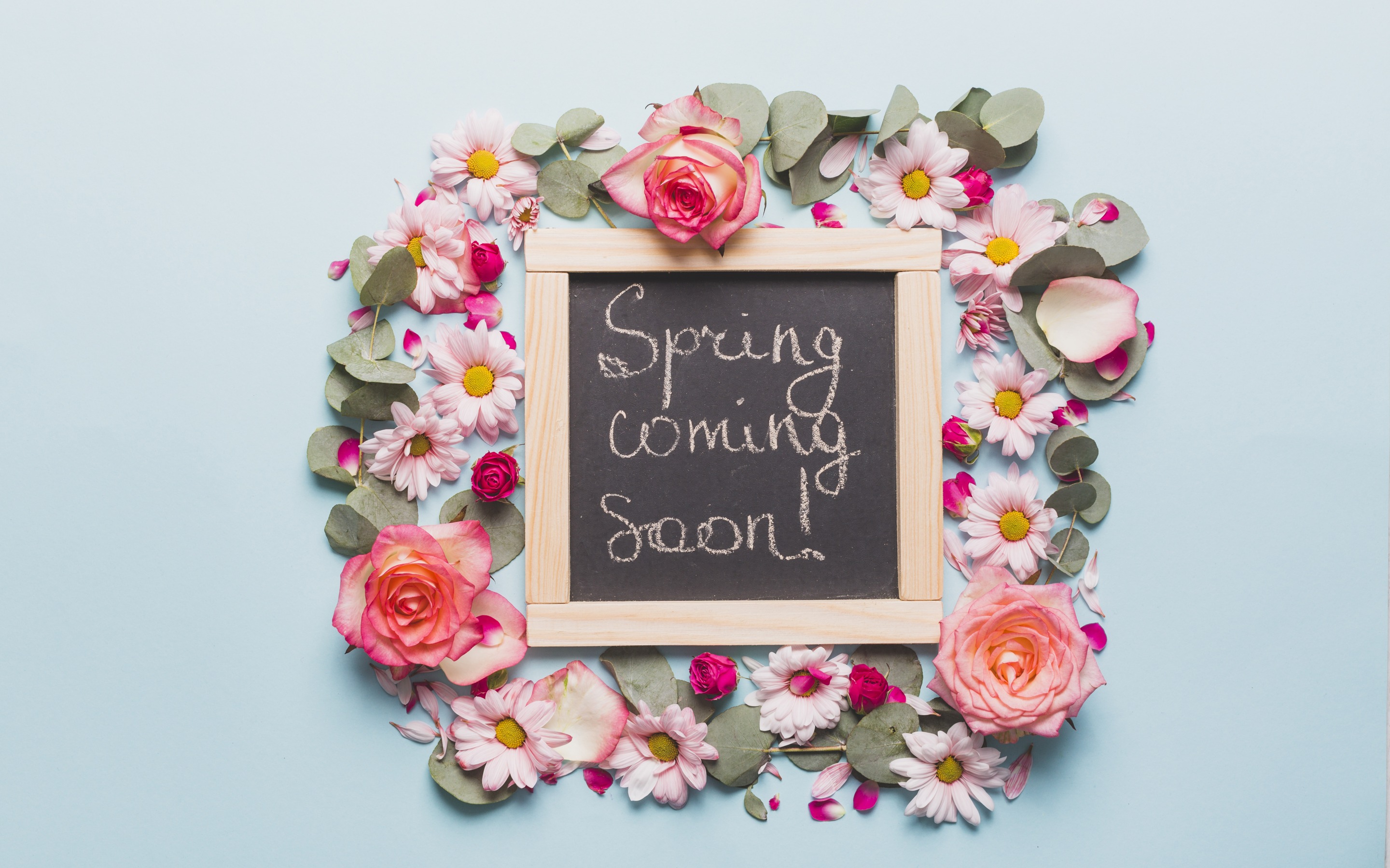 Spring Coming Soon, Floral Decorations, Pink Roses, - Coming Soon ...