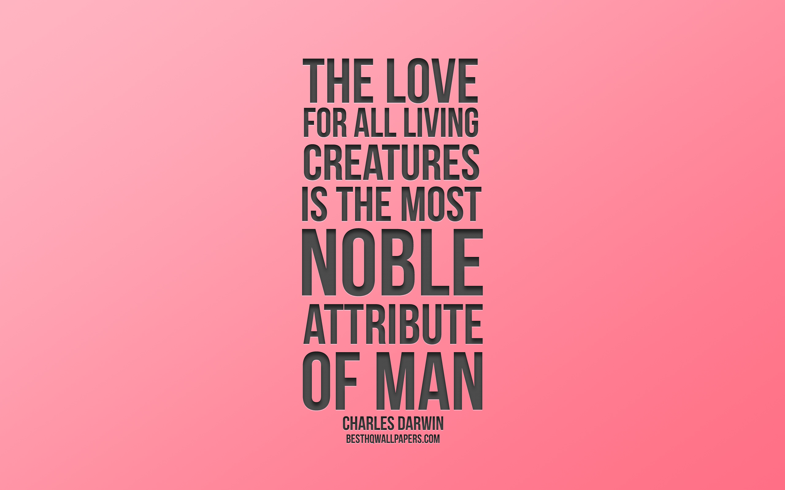 The Love For All Living Creatures Is The Most Noble - Liebe Für Alle Zitat - HD Wallpaper 