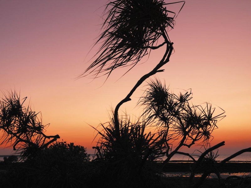 Sunset - HD Wallpaper 