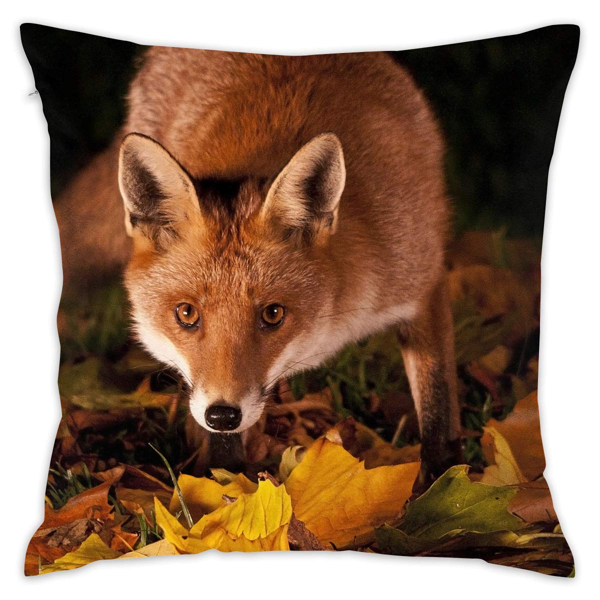 Jesień Zwierzęta Lis - HD Wallpaper 