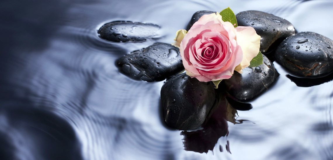 عکس گل در دریا - HD Wallpaper 