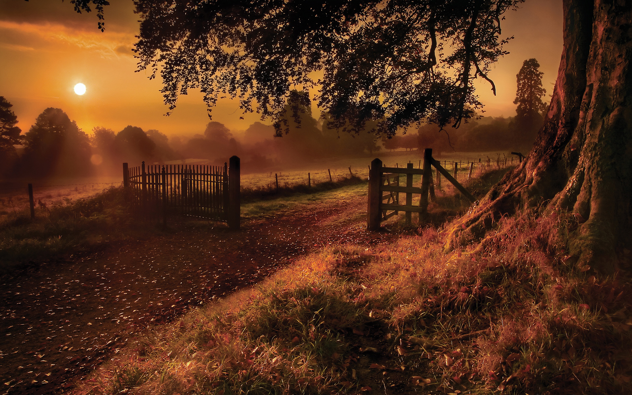 Country Scene Wallpaper - HD Wallpaper 