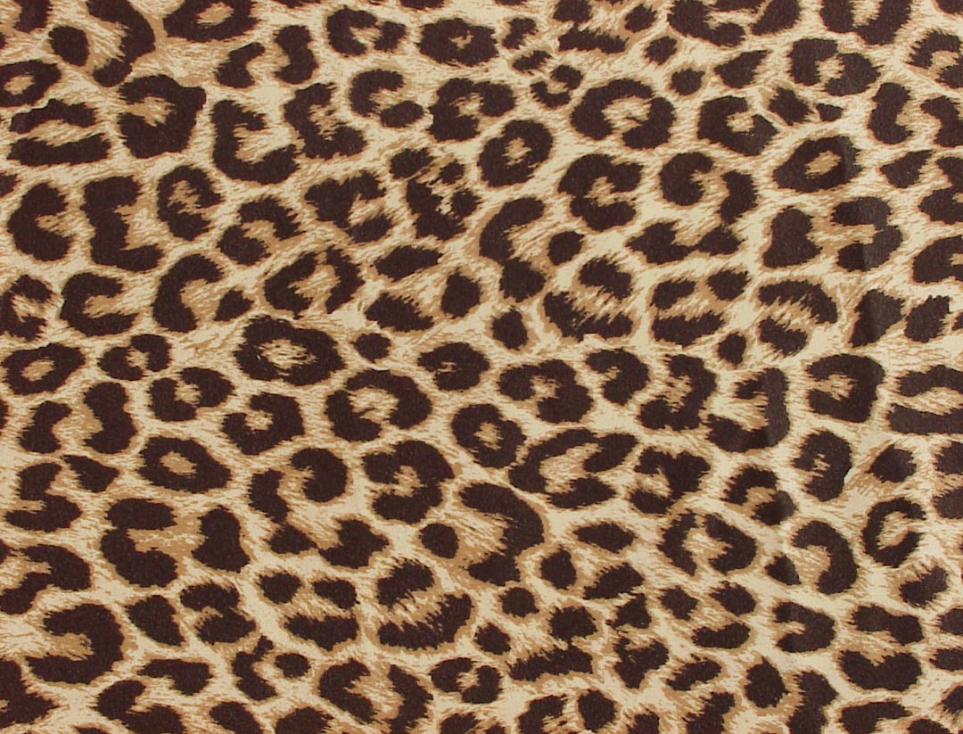 Leopard Print Skin Wallpaper Hd For Desktop - Cheetah Print Backgrounds - HD Wallpaper 