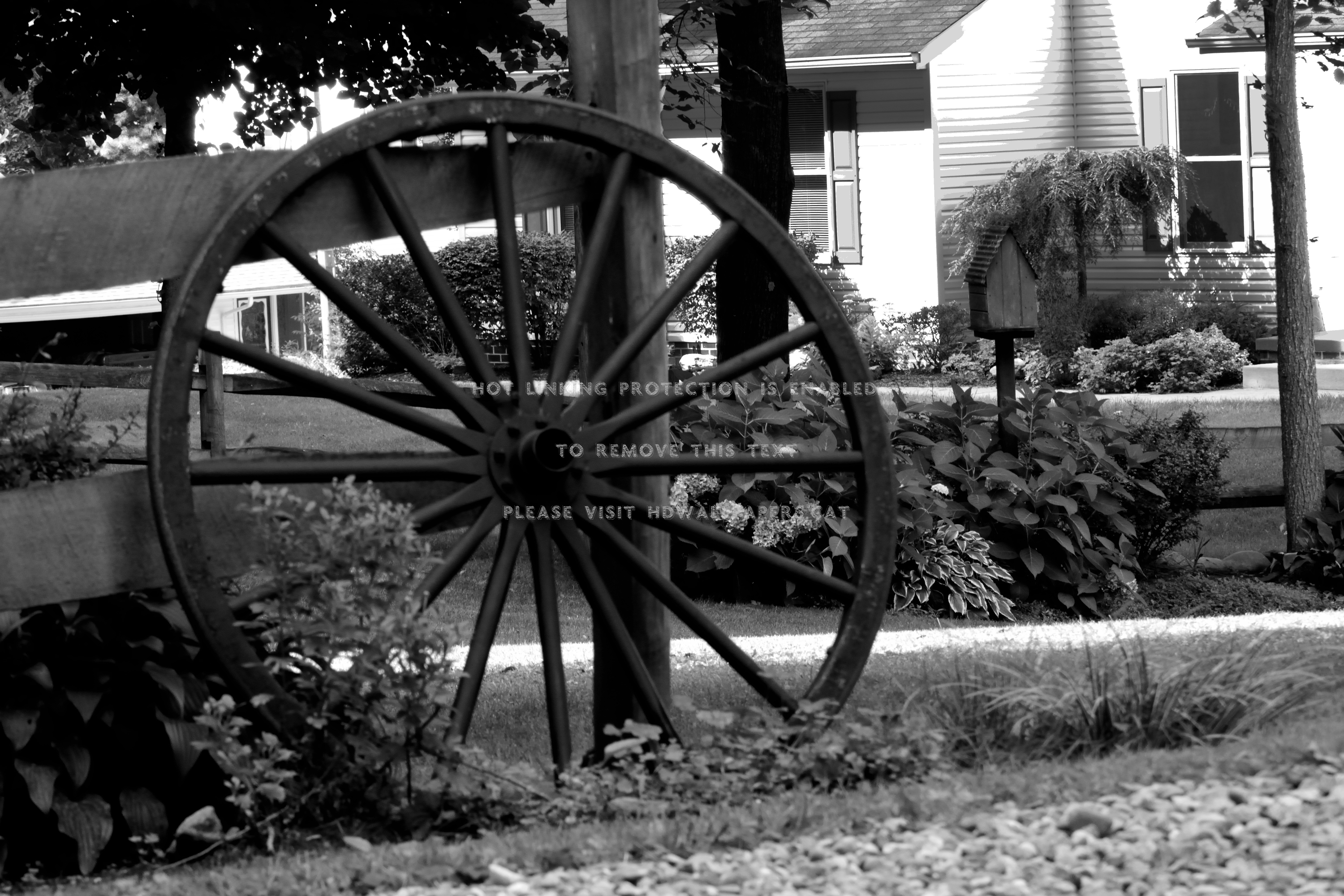 Old Country Scene Wheel Scenic Road Nature - Monochrome - HD Wallpaper 