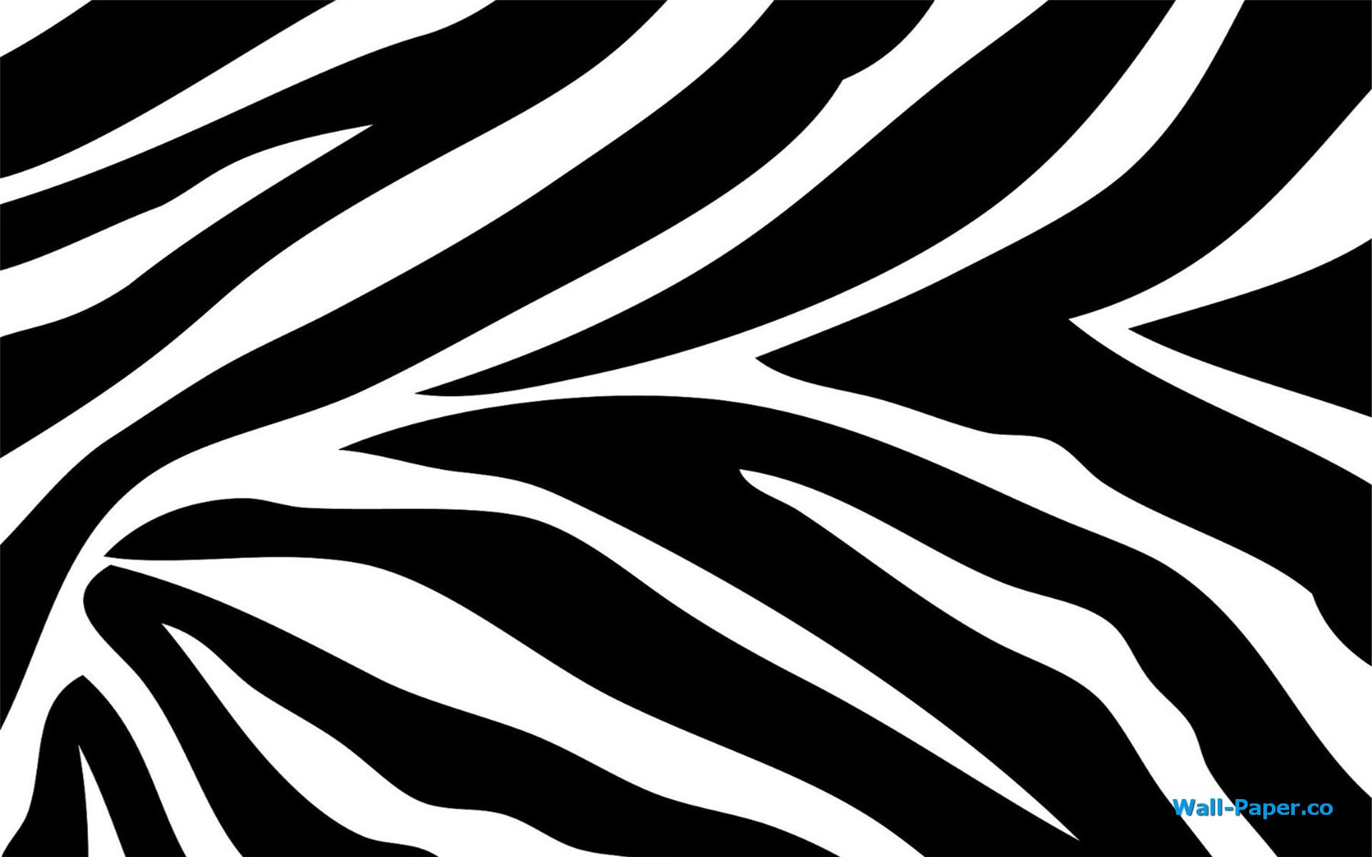 Zebra Wallpapers Hd Pixelstalk
 Hd Creative Zebra Print - Zebra Print White No Background - HD Wallpaper 