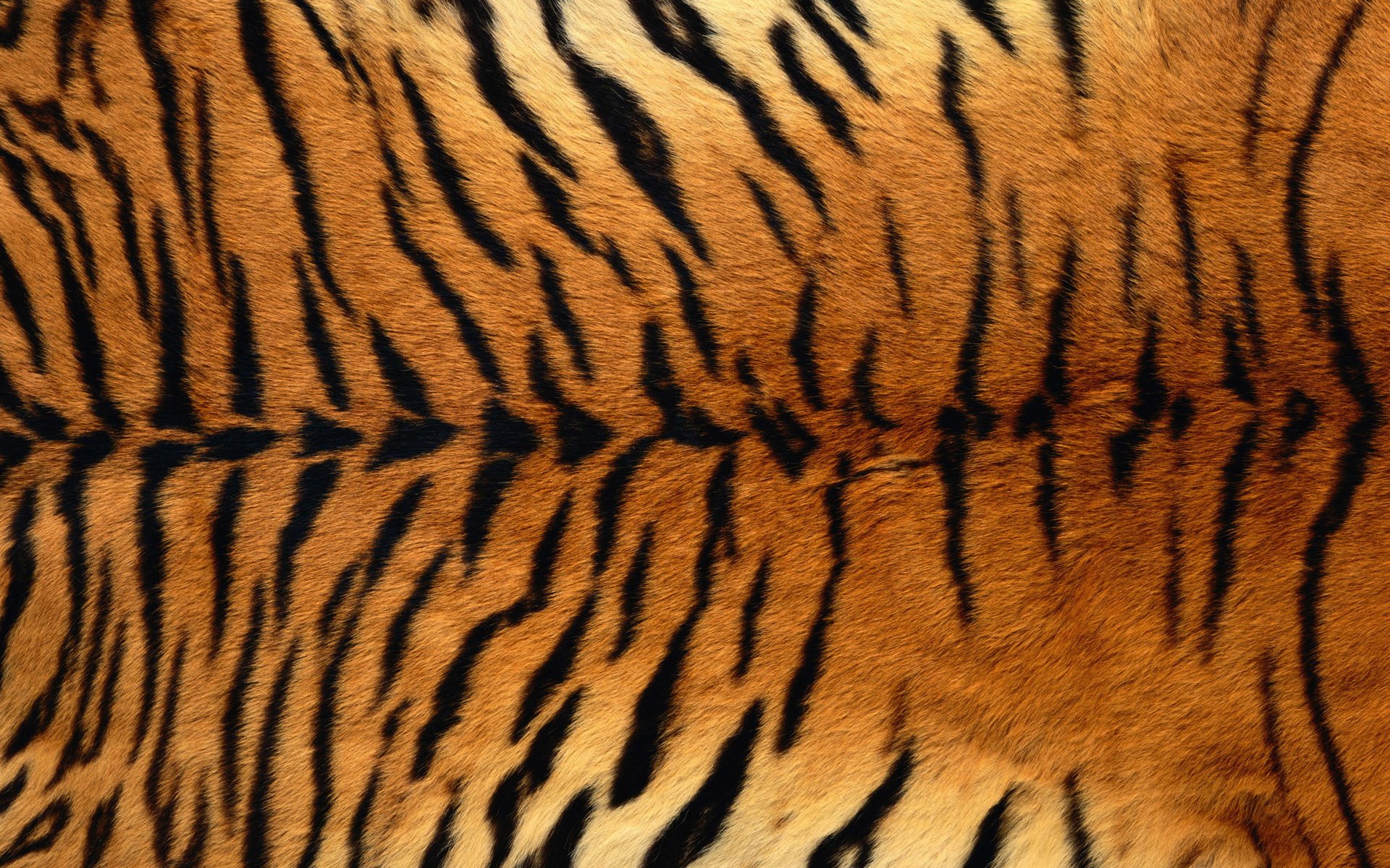 Tiger Skin - HD Wallpaper 