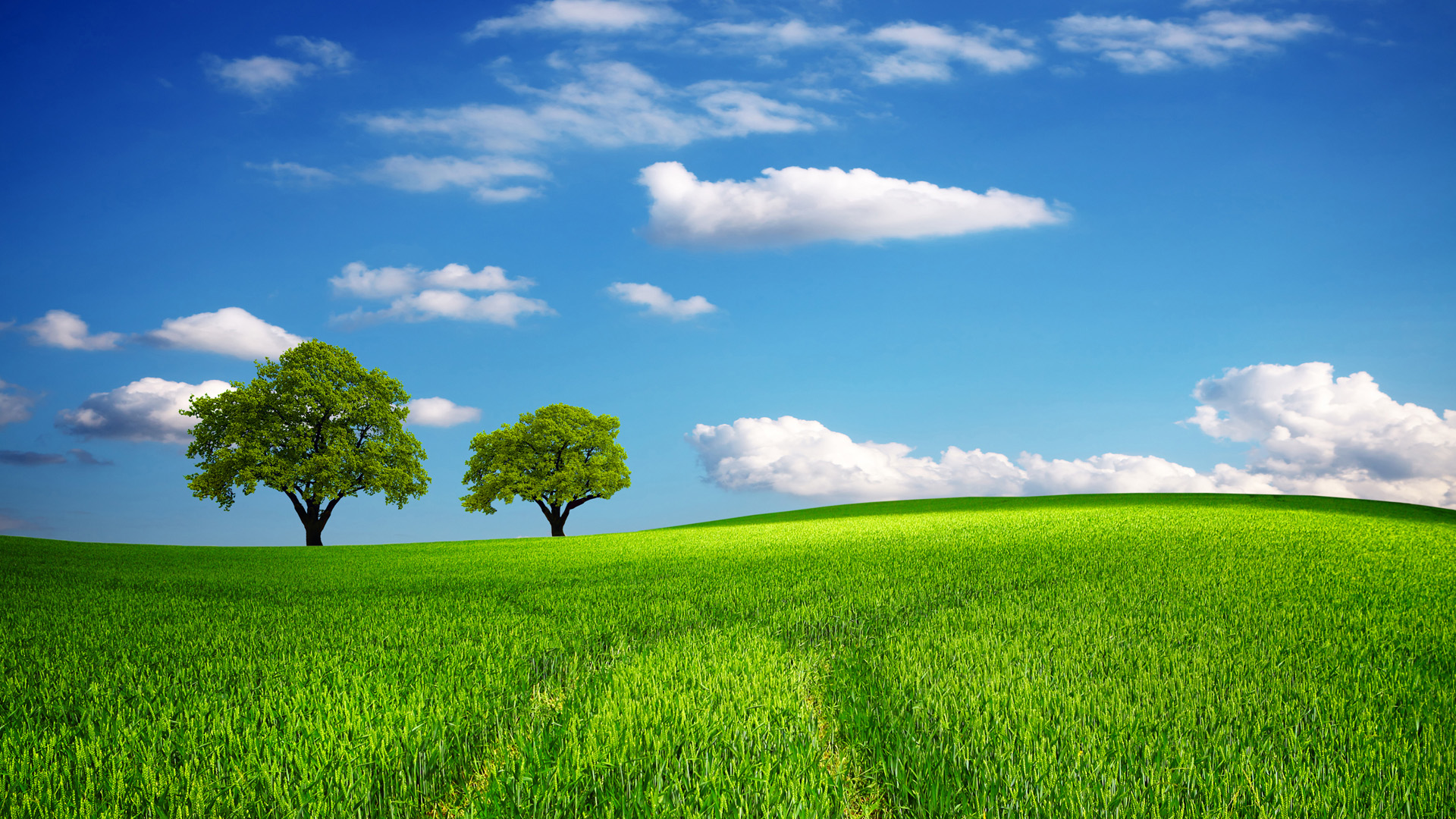 Wallpaper Farm Backgrounds And Wallpaper Old Farm Scene - Green Field In Spring - HD Wallpaper 