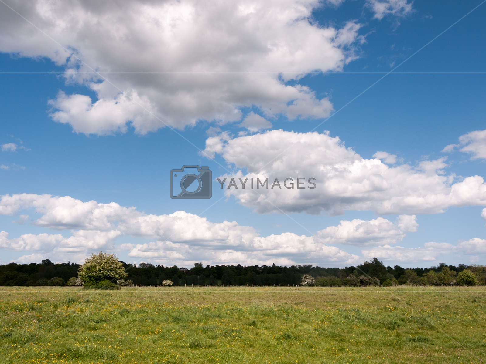A Bright And Gorgeous Country Scene Outside In The - Field - HD Wallpaper 