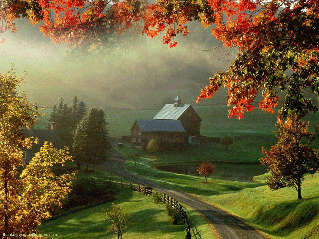 Country Scene Wallpaper - HD Wallpaper 