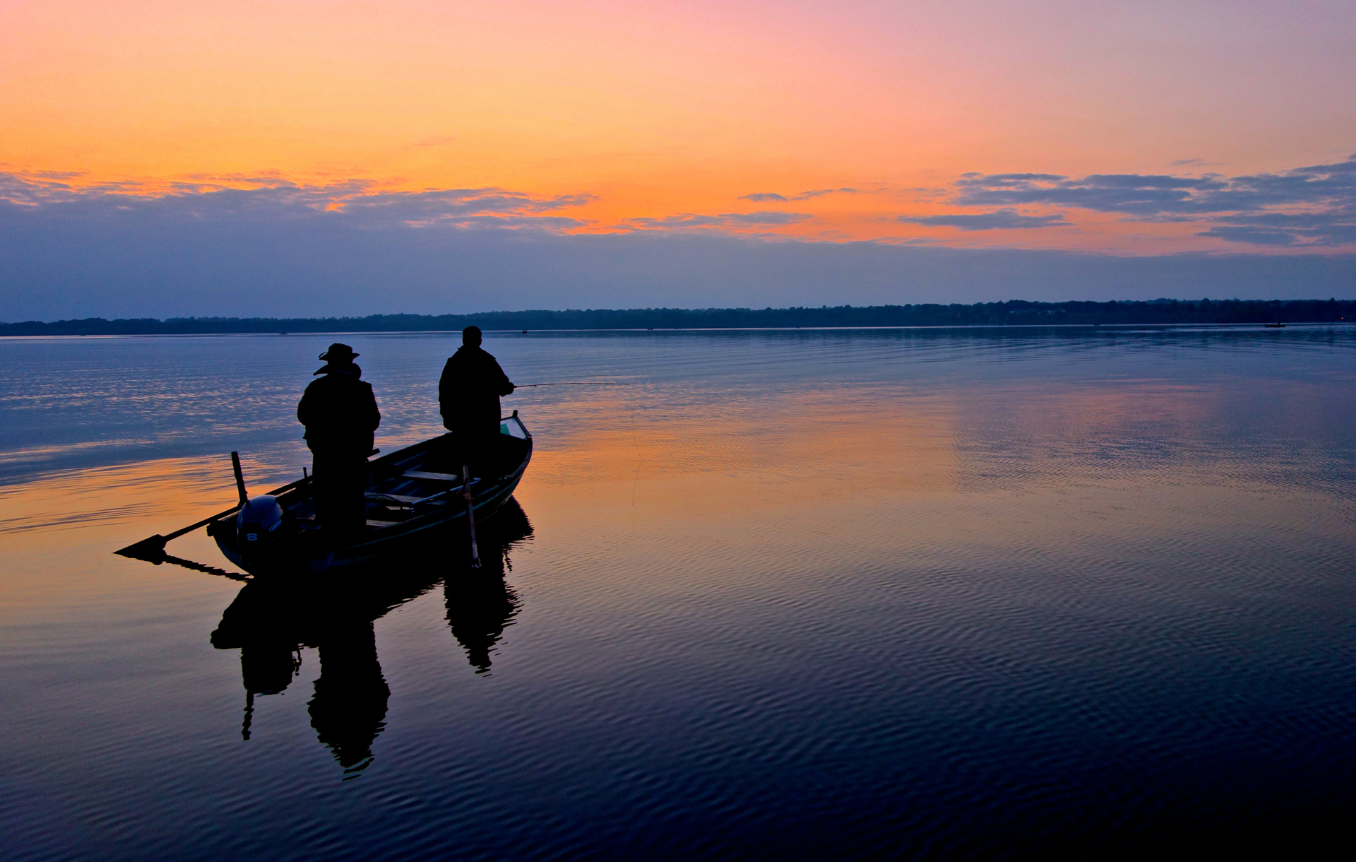 Fishing Fly - HD Wallpaper 