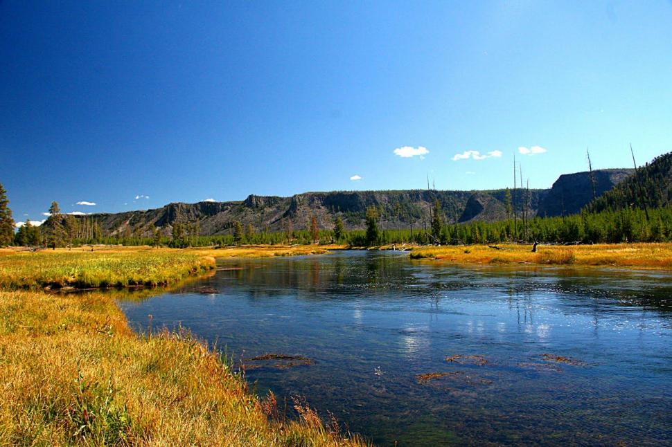 Madison River Yellowstone Park Fly Fishing Today Wallpaper,fishing - Tapety Na Plochu 1920x1080 Yellowston - HD Wallpaper 