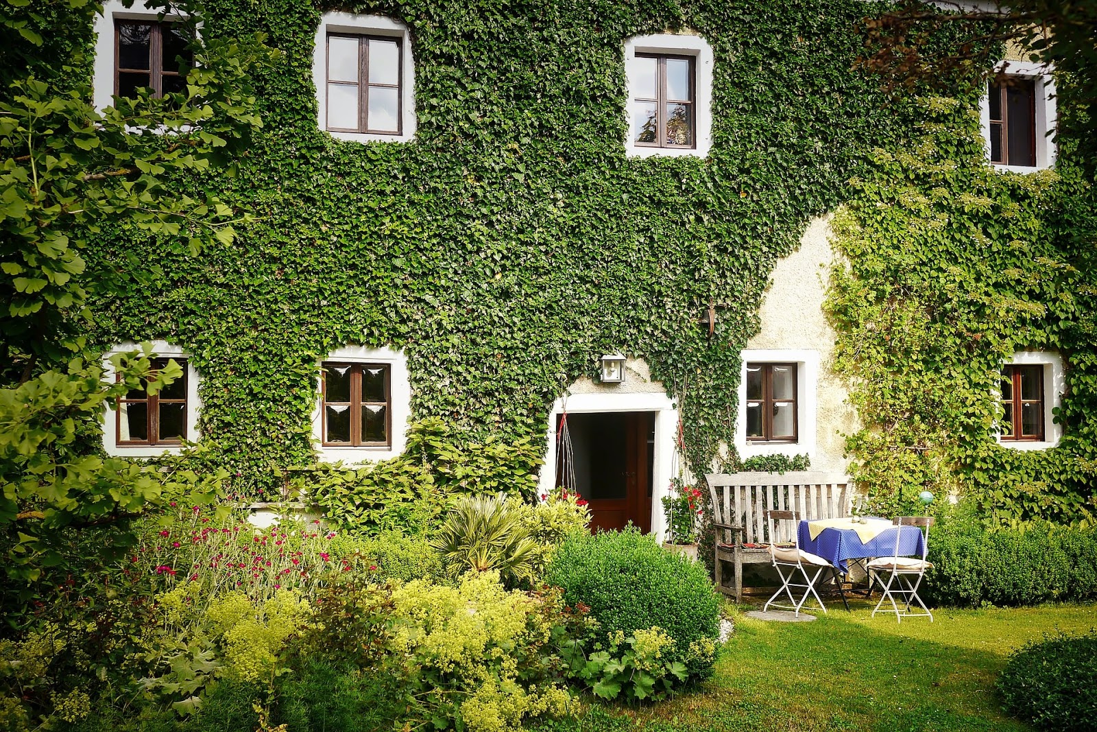 Garden Wallpaper - Casa Di Riposo Lazio - HD Wallpaper 