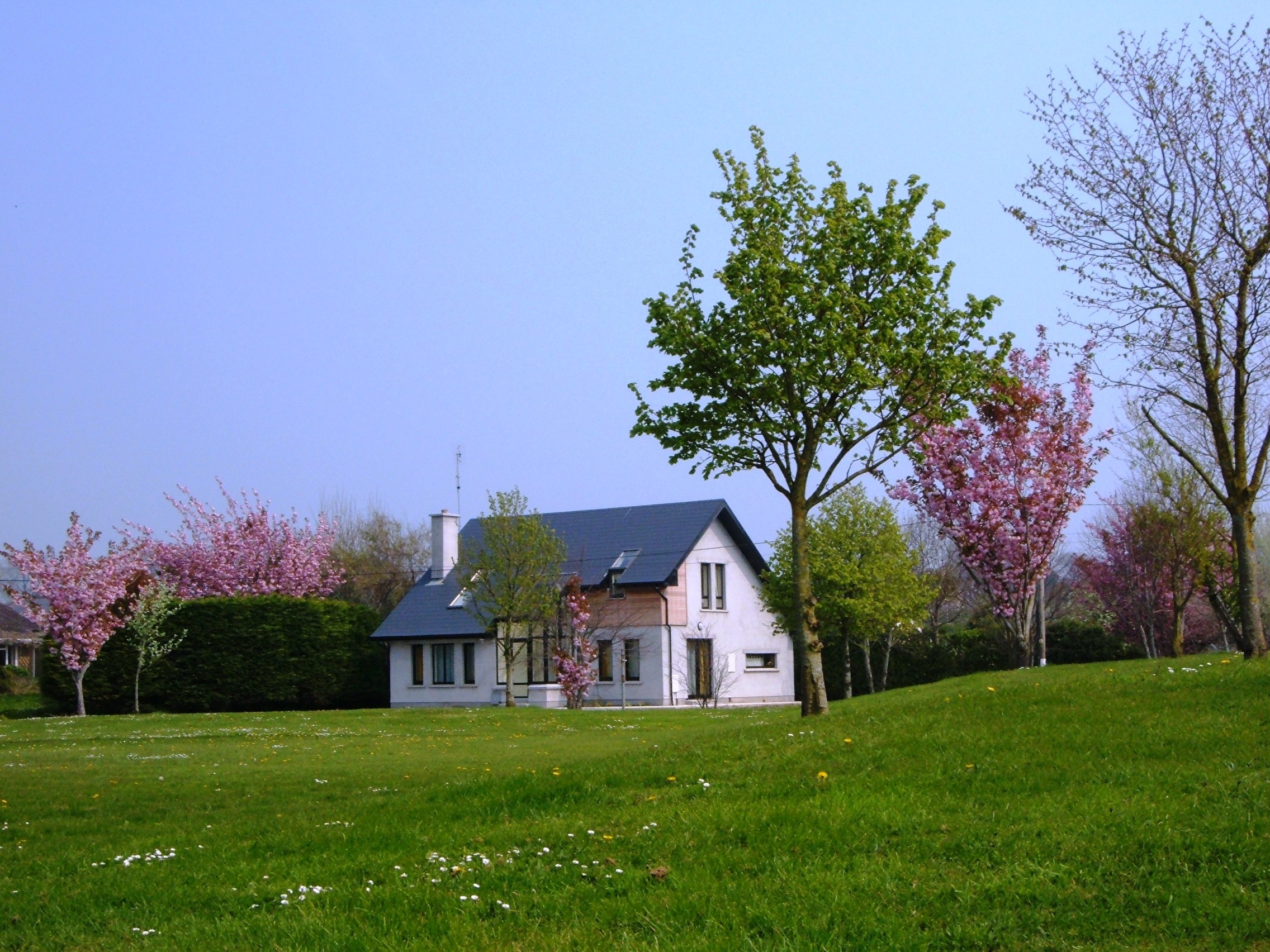 House With A Garden - HD Wallpaper 