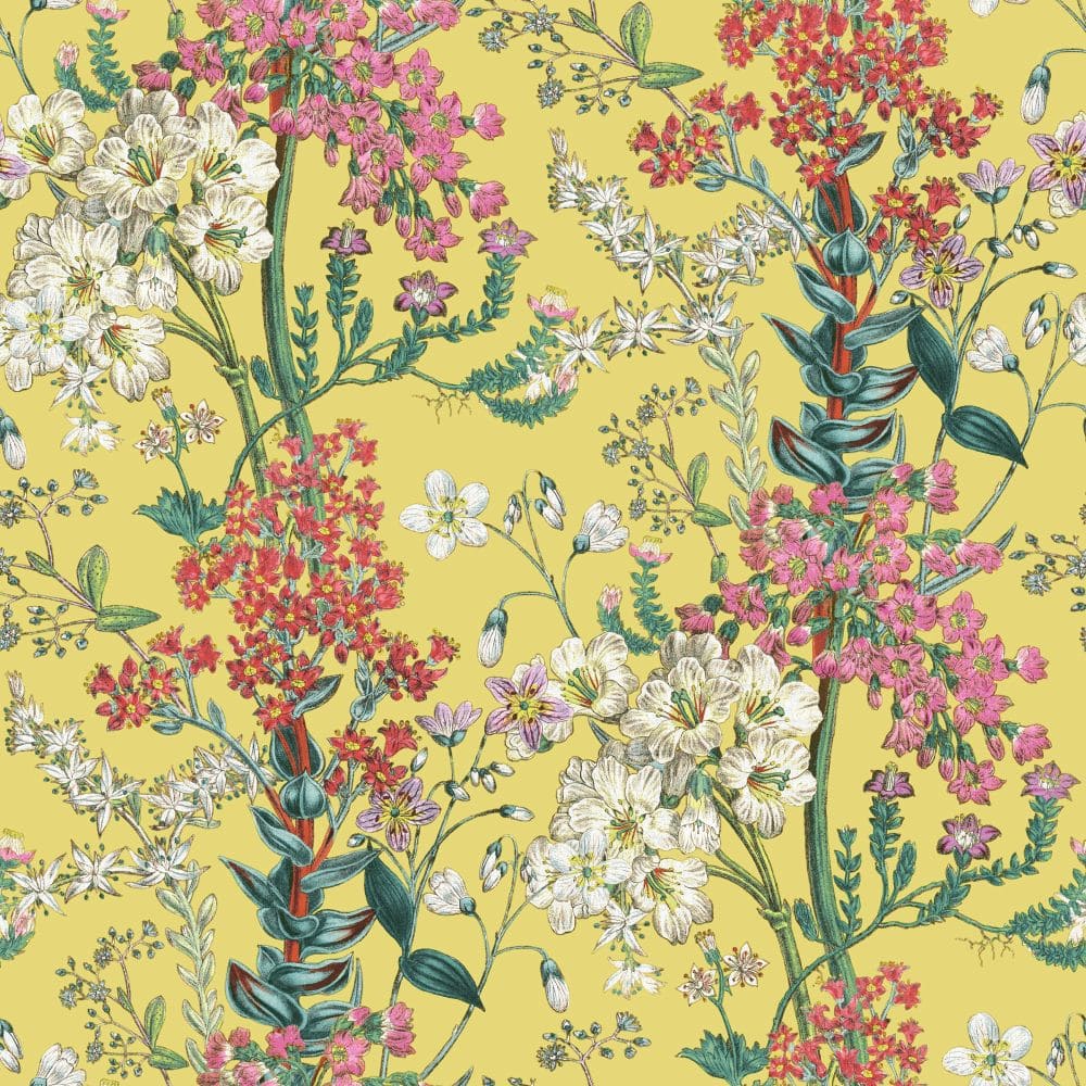 Wallpaper - HD Wallpaper 