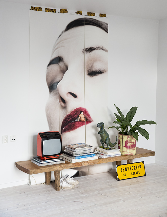 Dosfamily-mrwallpaper1 - Houseplant - HD Wallpaper 