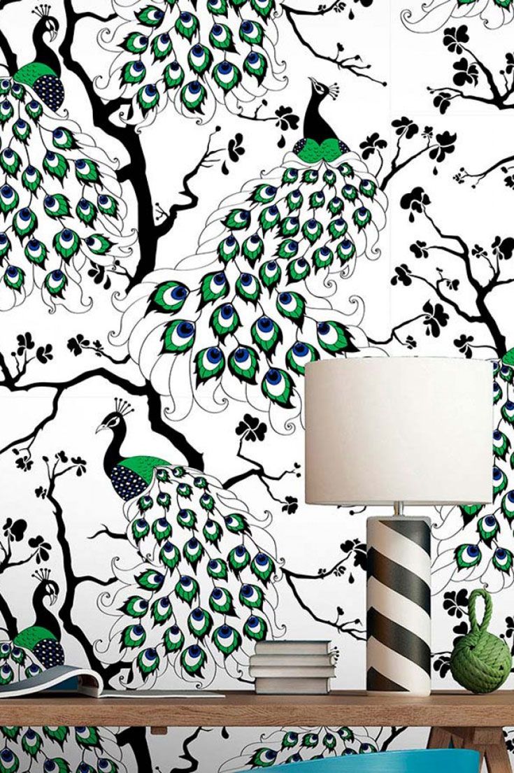 Papier Peint Peacock Dupenny - HD Wallpaper 