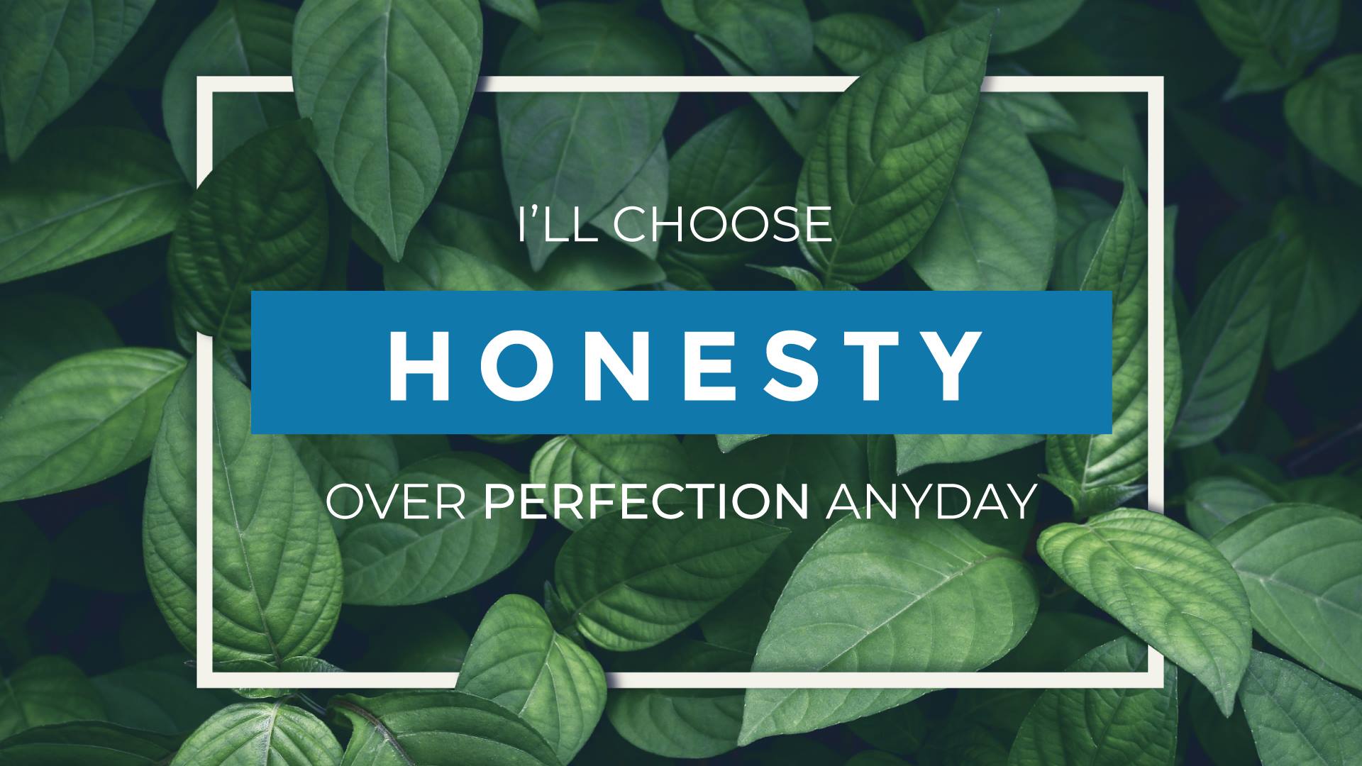 Leaves With White Square Frame - HD Wallpaper 