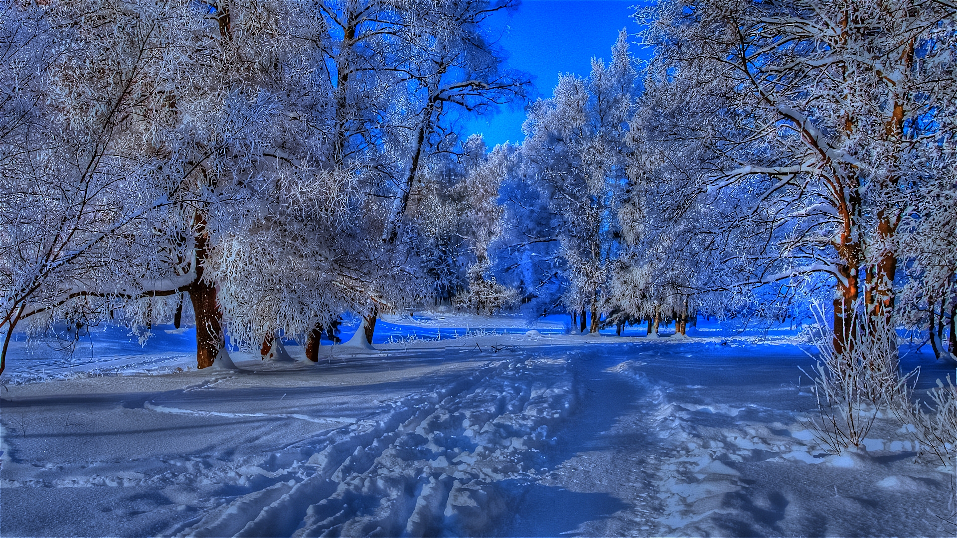 Beautiful Winter Desktop Backgrounds - HD Wallpaper 