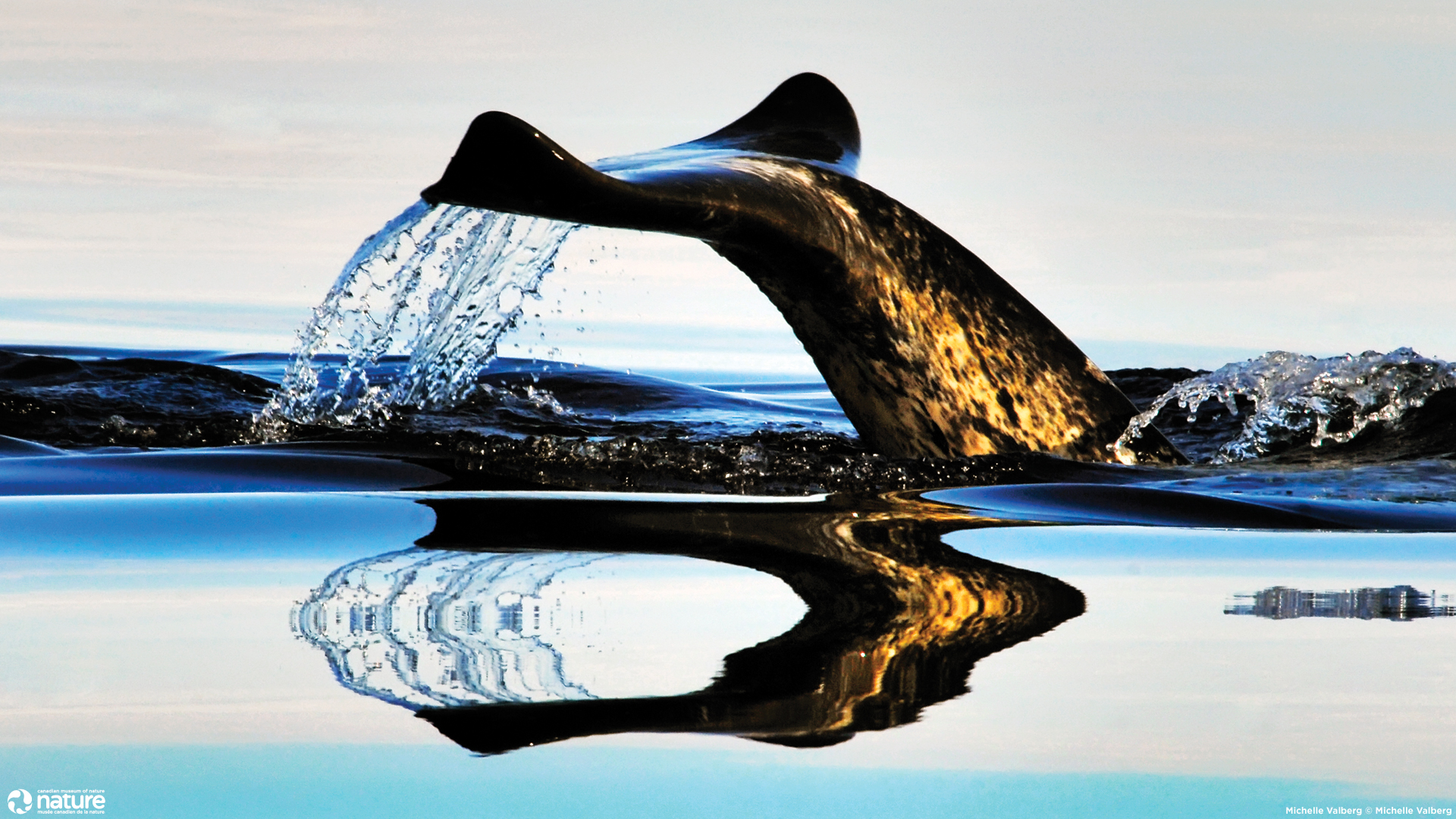 1920 By 1080 Jpeg - HD Wallpaper 