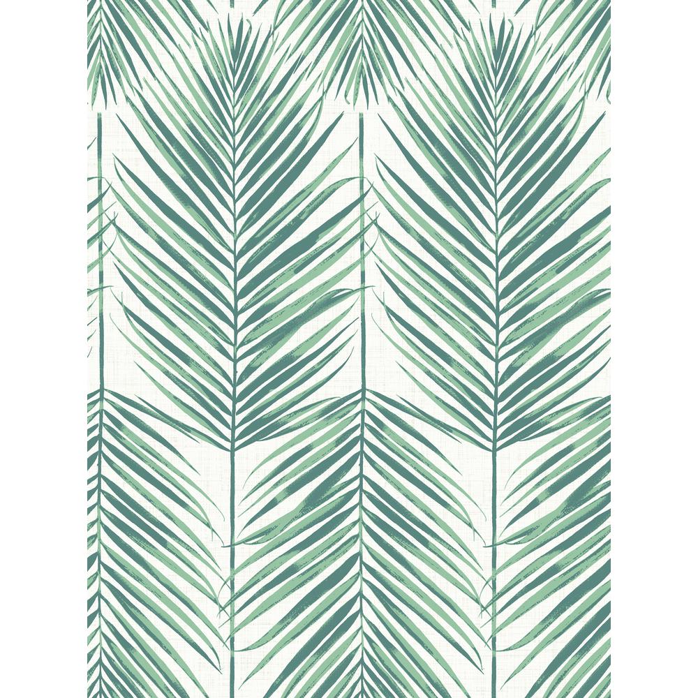 Leaf Wall Paper - HD Wallpaper 