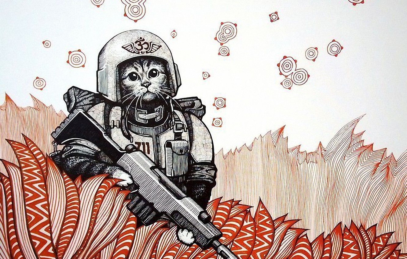 Photo Wallpaper Cat, Figure, Warrior, Soldiers, Warhammer, - Warhammer Cat - HD Wallpaper 