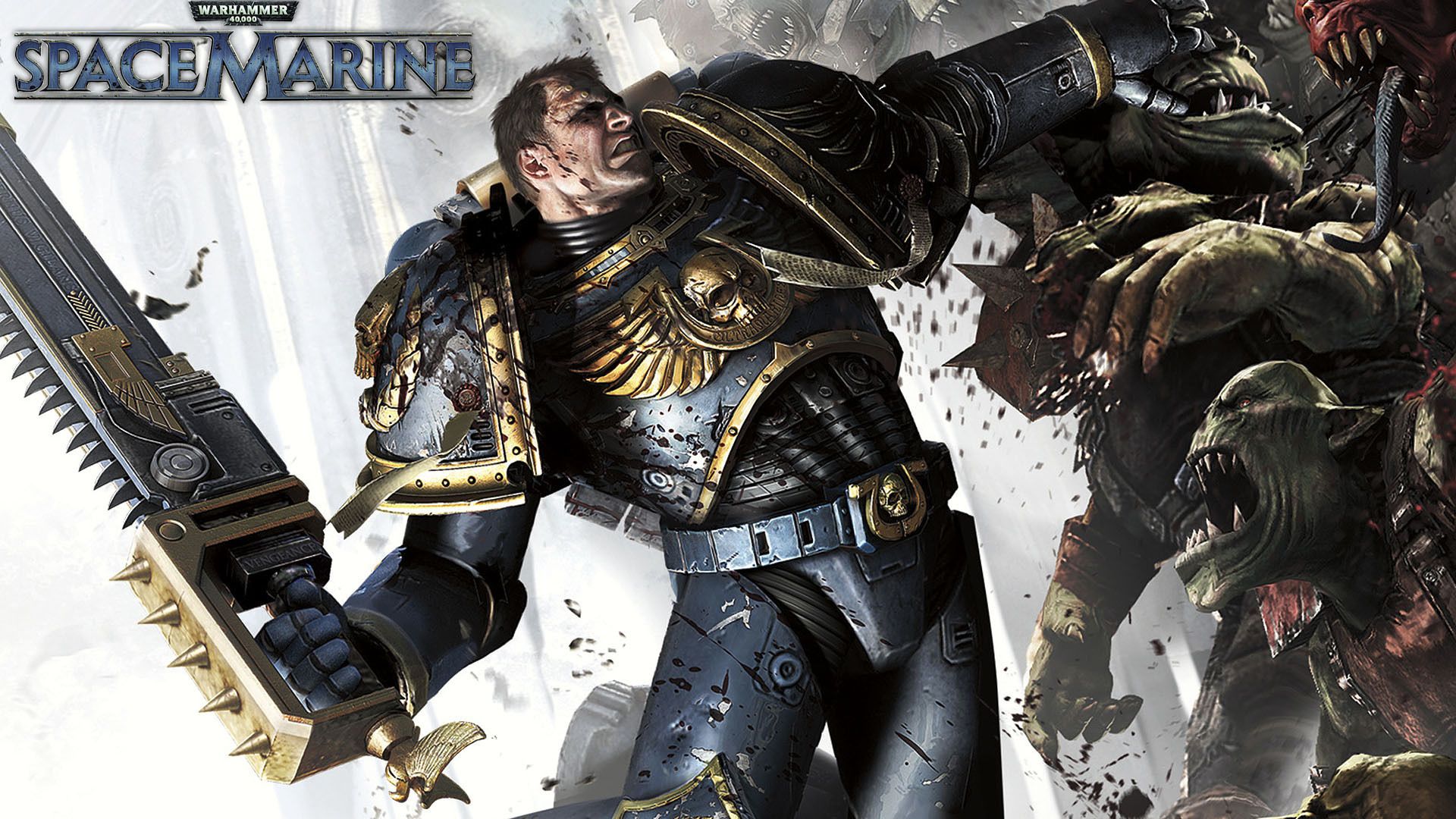 Warhammer 40 000 Space Marine Combat - HD Wallpaper 