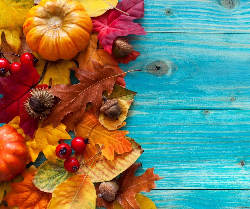 Fall Scenes With Pumpkins - HD Wallpaper 